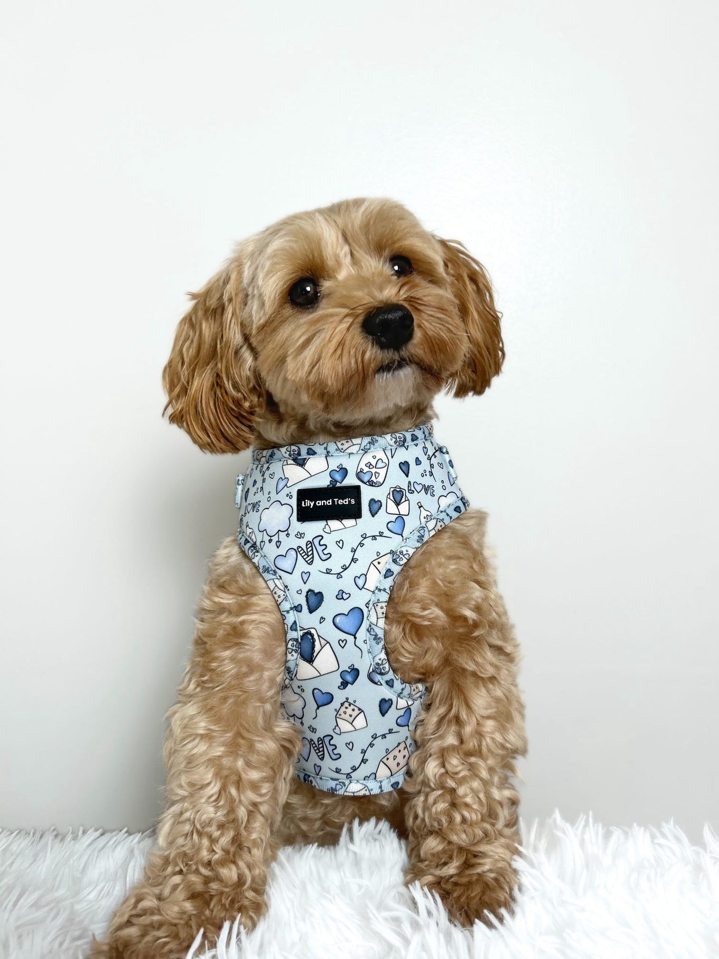 Cuter than Cupid adjustable harness