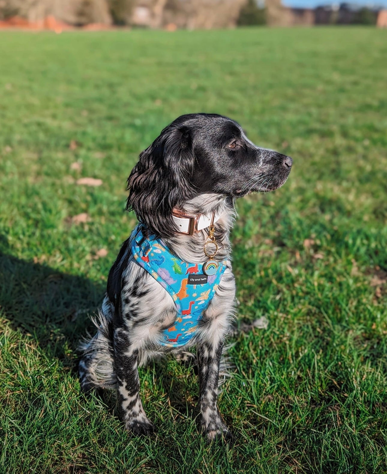 Jurassic Bark adjustable harness