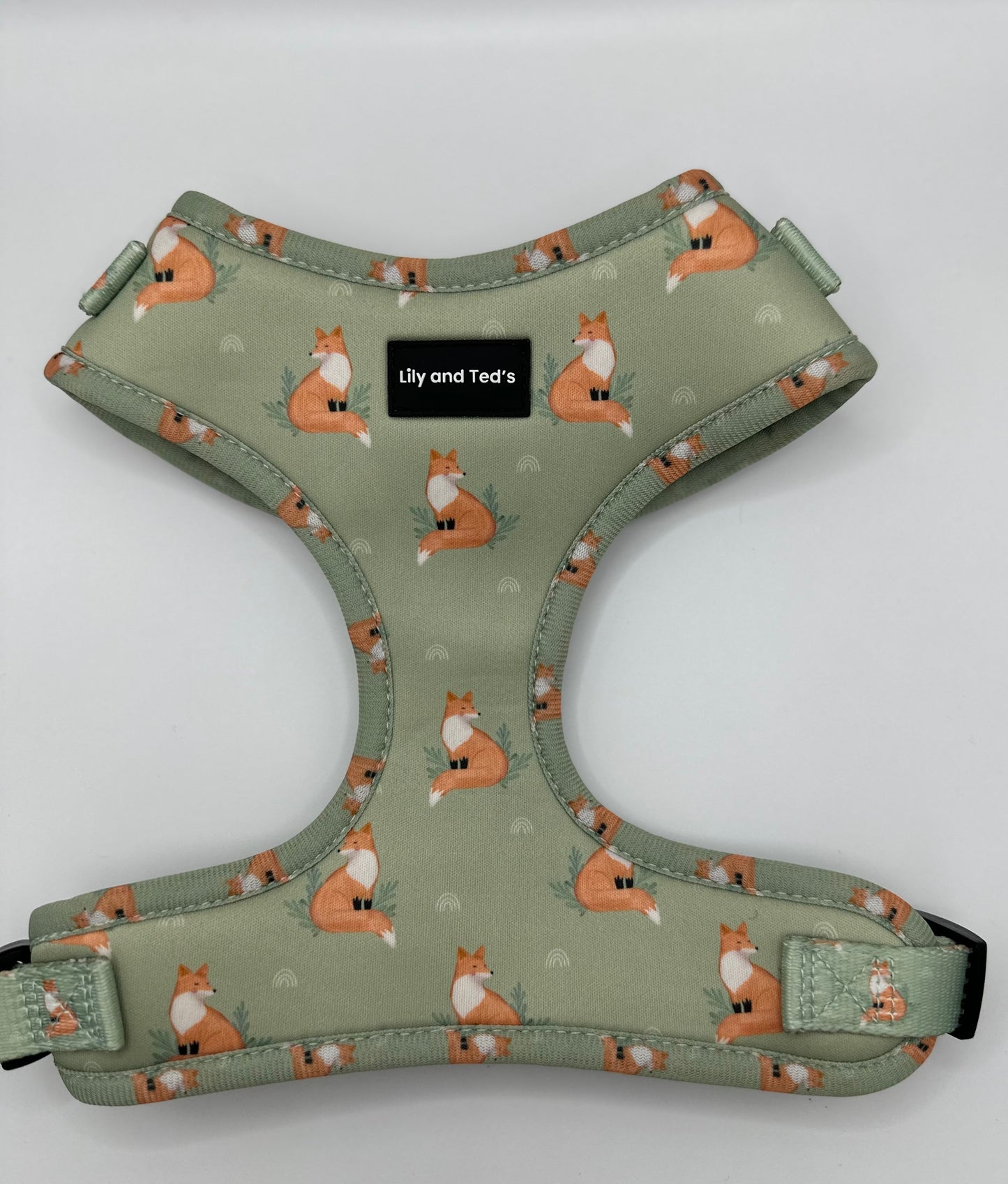 Fox’s fall harness